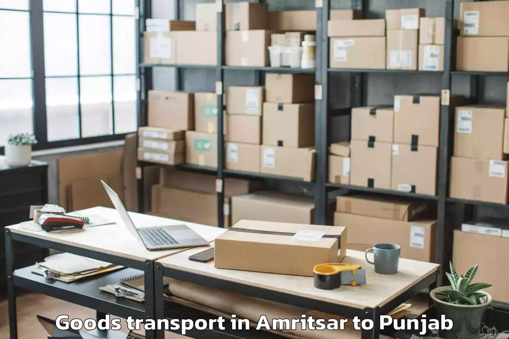 Discover Amritsar to Dasua Goods Transport